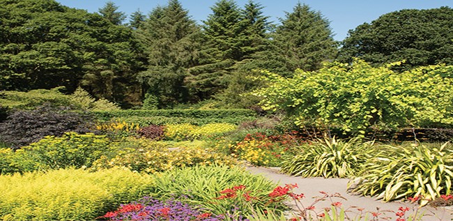 RHS Garden Rosemoor RHS Garden Rosemoor